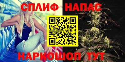 гидра Бузулук