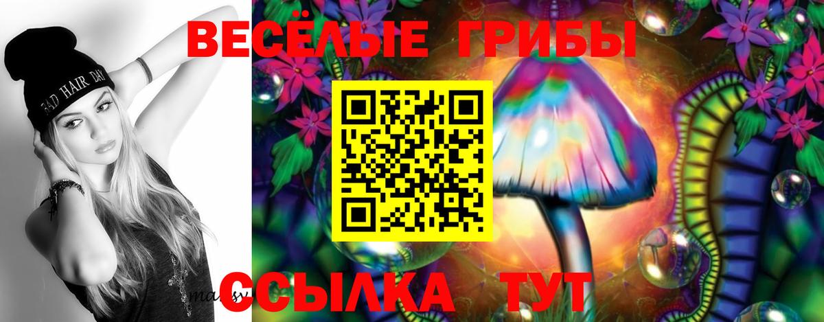 Миасс  Галлюциногенные грибы Magic Shrooms  Вход с VPN  Псилоцибиновые грибы мицелий 